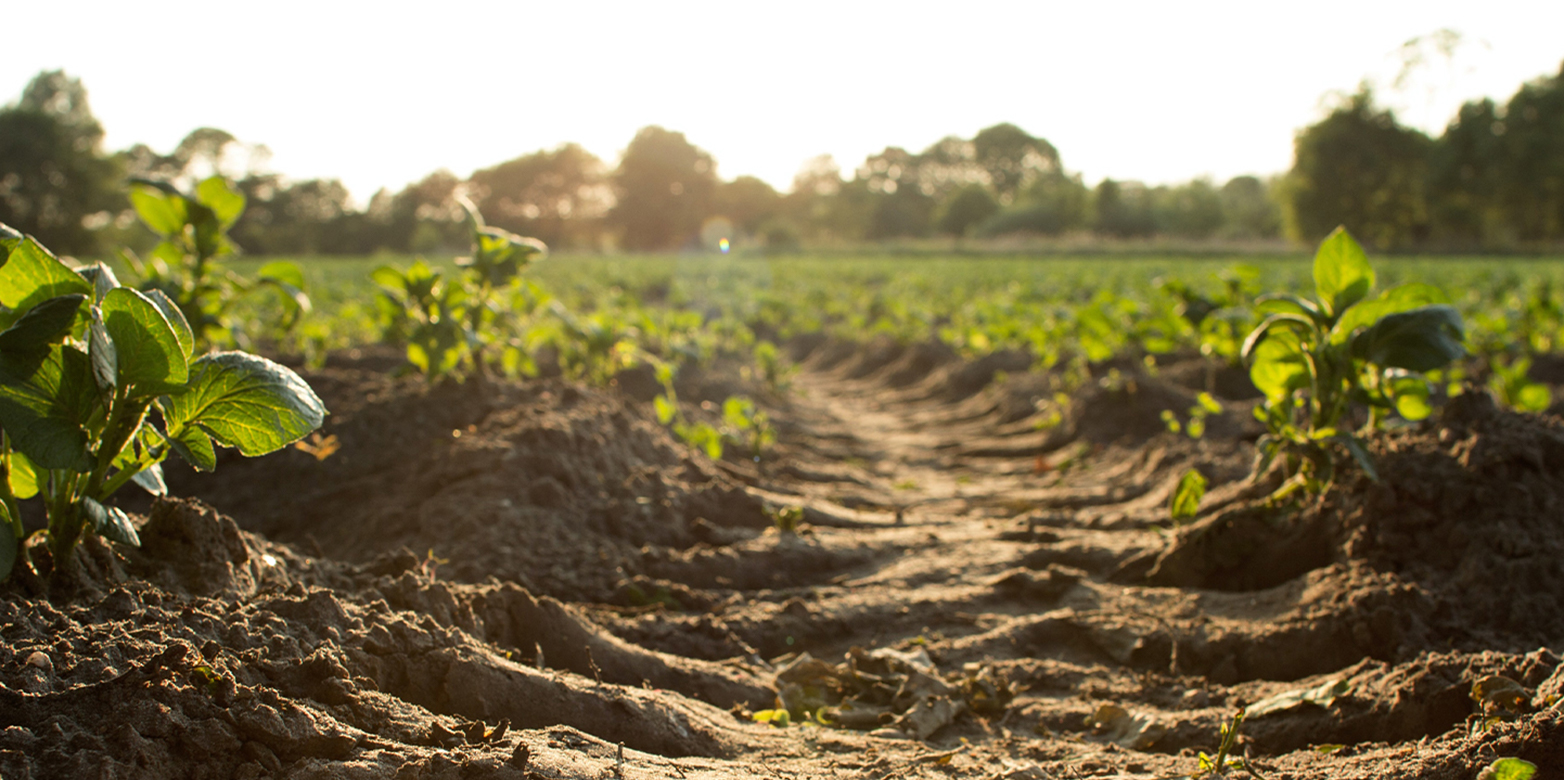 Assessing Impacts on the Natural Resource Soil in Life Cycle Assessment